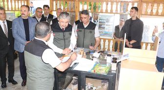 Bursa'da yanan ormanlar, Eskişehir'de üretilen fidanlarla yeşillenecek