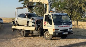 Edirne'de otomobilin çarptığı 6 koyun telef oldu