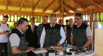 Eskişehir'de yetiştirilen 3 milyon 400 bin fidan Bursa'da yanan yerlere dikilecek