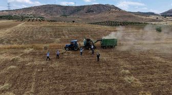 Gercüş'te kavurucu sıcakta 'oyun havalı' hasat