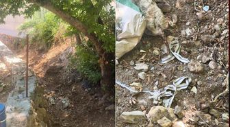Jandarma son anda fark etti, bir hayat kurtuldu