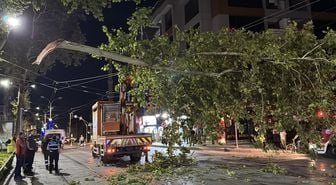 Kocaeli'de çınar ağacının kopan dalı tramvay seferlerinin aksamasına neden oldu