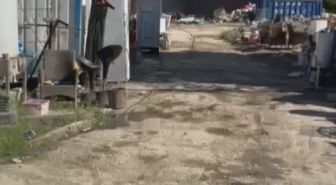 Silivri'de otluk alanda çıkan yangın iş yerine sıçradı
