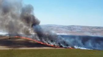 Tekirdağ'da yangında 300 dekar tarım alanı zarar gördü