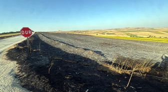 Tekirdağ'da yangında 350 dönüm buğday ekili alan zarar gördü