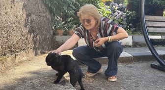 Vücudunda kırıklar bulunan sahipsiz kedi öğretmenlerin desteğiyle hayata tutundu