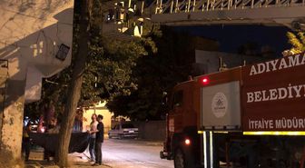 Ağaçta mahsur kalan kediyi itfaiye ekipleri kurtardı