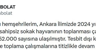 Ankara'da 52 bin sahipsiz sokak hayvanı toplandı