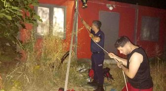 Balıkesir'de kuyuya düşen yavru kedi kurtarıldı