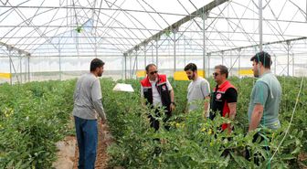 Erzincan'da seracılık faaliyetleri yerinde incelendi