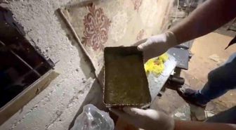 Evde bonzai üretip sattıkları öne sürülen şüphelilere operasyon: 1 tutuklama