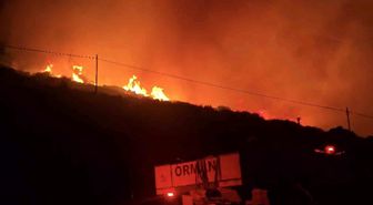 İzmir'de makilik alandaki yangın kontrol altında