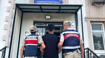 Şanlıurfa'da hırsızlık hükümlüsü yakalandı