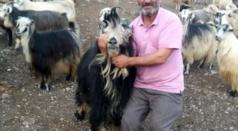 Şavşat Deresi'nde kaybolan babanın cansız bedenine ulaşıldı