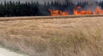 Silivri'de elektrik direği kesimi sırasında çıkan yangın söndürüldü