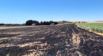 Silivri'de elektrik direği kesimi sırasında yangın: Ekili araziler zarar gördü