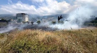 İskenderun'da otluk alan yangını
