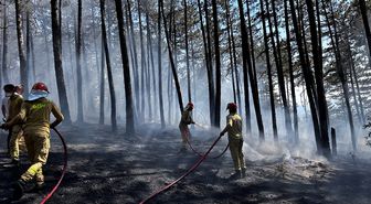 Kastamonu'da çıkan orman yangını söndürüldü