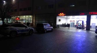 Malatya'da 'dut ağacı' kavgasında 2 tutuklama