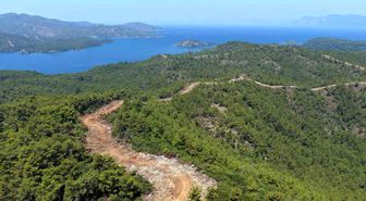 Muğla ve Aydın'da Orman yangın şerit yolu uzunluğu 2 bin kilometreye çıkıyor