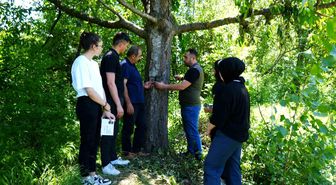 Şehir merkezine yakın köylere kadar inen ayı için Milli Parklar fotokapan kurdu