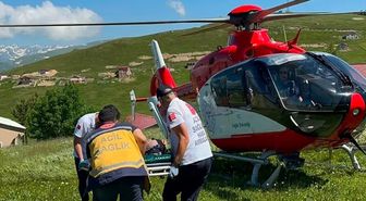 Trabzon'da yaylada mantardan zehirlenen kişi ambulans helikopterle hastaneye kaldırıldı