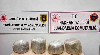 Yüksekova'da 11 kilo skunk ele geçirildi