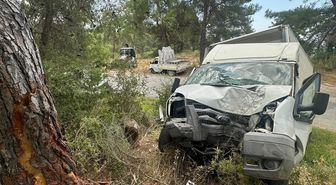 Alanya'da ağaca çarpan kamyonetin sürücüsü öldü, 1 kişi ağır yaralandı