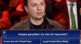 Altın bıyıklı deniz kedisi gerçek mi, altın bıyıklı deniz kedisi var mı?