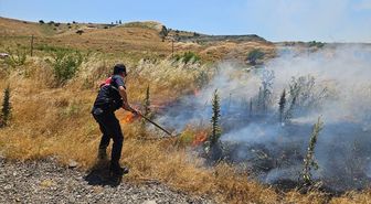 Bilecik'te çıkan anız yangını söndürüldü