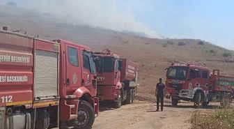 Hatay'da makilik alana sıçrayan anız yangını söndürüldü
