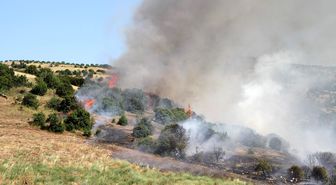 Mahalle ekipleri 28 yangını büyümeden durdurdu