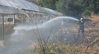 Mihalgazi'de otluk alanda çıkan yangın söndürüldü