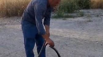 Muhtar, evlere giren yılanları eliyle yakalayıp doğaya bırakıyor