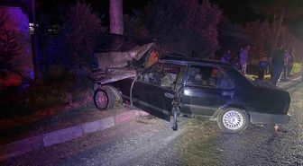 Sokak köpeğinden kaçmak isteyen otomobil ağaca çarptı: 1'i ağır 2 yaralı