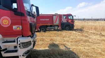 Diyarbakır'da anız yangınlarına itfaiye ekiplerinden müdahale