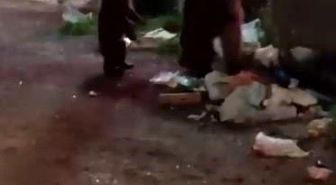 Kars'ta vatandaş ayılara türkü söyledi, o anlar sosyal medyayı salladı