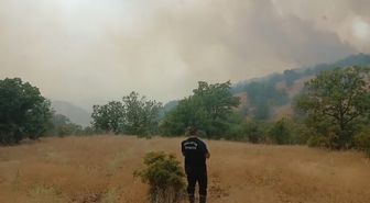 Malatya'da orman yangını