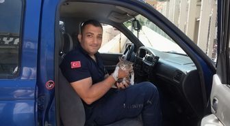 Otomobilin motor bölümünde sıkışan yavru kedi kurtarıldı