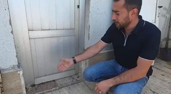 Sağanak yağış sonrası ortaya çıktılar: Hikmet mi, başka bir şey mi bilemedik