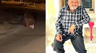 İzmir'de ayı dehşeti! Balkonda uyurken canını aldı, bir de 20 metre sürükledi