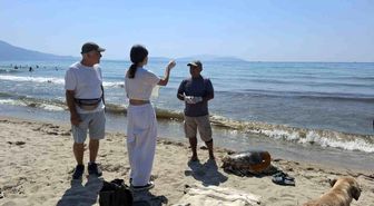 Üremek için geldikleri kıyılarda 3 caretta caretta ölü bulundu