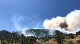 Balıkesir Kepsut'ta orman yangını