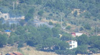 Ayvalık'ta Cunda Adası'nda Orman Yangını