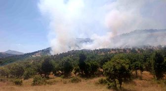 Diyarbakır'da ağaçlık alanda yangın: İtfaiye ve jandarmanın söndürme çalışmaları sürüyor