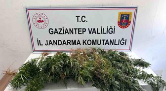 Gaziantep jandarmadan uyuşturucu operasyonu