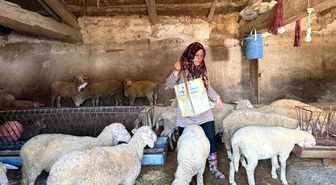 Eşi öldürülen Fatma Çalık: Hem çobanlık yapıyorum hem çocuk okutuyorum