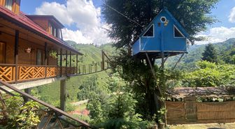 Rize'de iki kardeşin ağaç evine balkondan asma köprüyle ulaşım