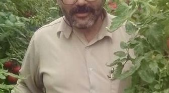 Traktör şarampole yuvarlandı, sürücü öldü