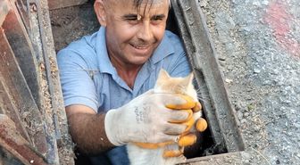Alanya'da rögar giderine düşen kedi yavrusu kurtarıldı